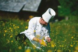 2 Tage Den Schwarzwald als Geniesser entdecken inkl. All Inclusive Unkategorisiert online kaufen