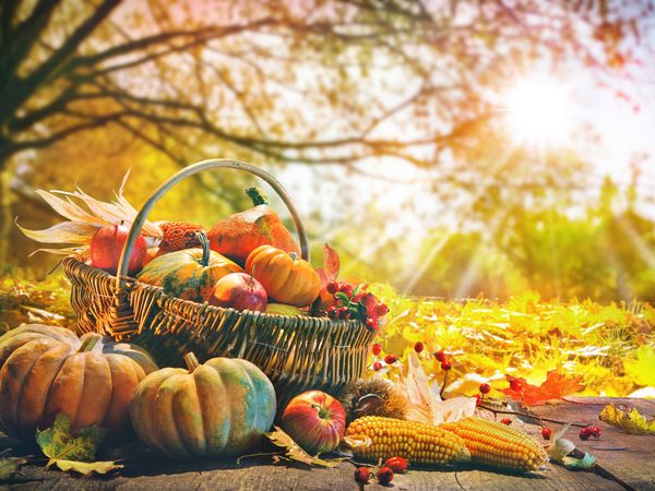 2 Tage Herbstliche Auszeit im Apfelland- 2 Nächte - Hotel und Römerhof Arbon Unkategorisiert online kaufen
