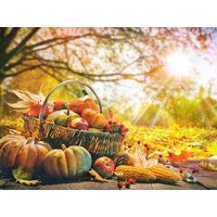 2 Tage Herbstliche Auszeit im Apfelland- 2 Nächte - Hotel und Römerhof Arbon Unkategorisiert online kaufen
