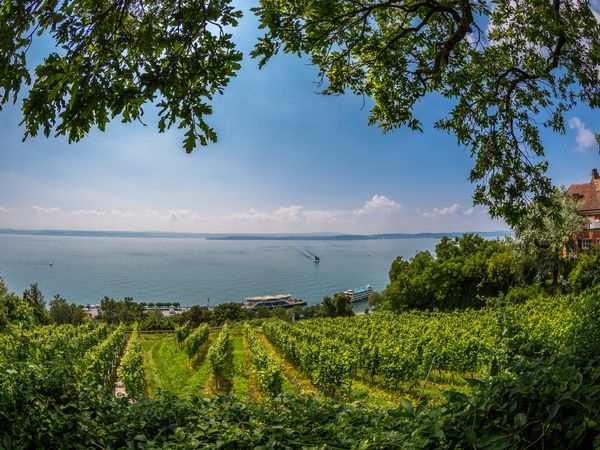 6 Tage Auszeit am Bodensee im Hotel Mein Inselglück - Mein Inselglück in Reichenau Unkategorisiert online kaufen