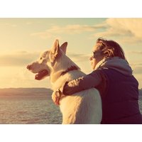 6 Tage Urlaub mit Hund, Naturparadies Bodensee inkl. HP |7 T - Seehotel am Kaiserstrand in Lochau Unkategorisiert online kaufen