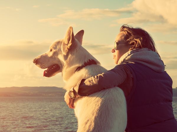 7 Tage Urlaub mit Hund, Naturparadies Bodensee inkl. HP |8 T - Seehotel am Kaiserstrand in Lochau Unkategorisiert online kaufen