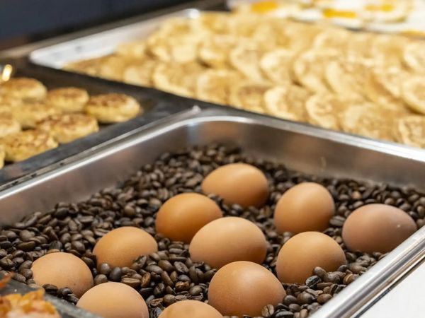 9 Tage Urlaub mit Frühstück im Hotel Buchhorner Hof - Hotel Buchhorner Hof in Friedrichshafen Unkategorisiert online kaufen