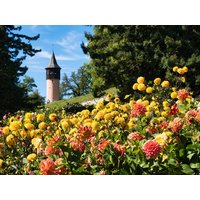 Blumige Farbenpracht-Insel Mainau im Bodensee | 2 T. - LÉGÈRE EXPRESS Tuttlingen Unkategorisiert online kaufen