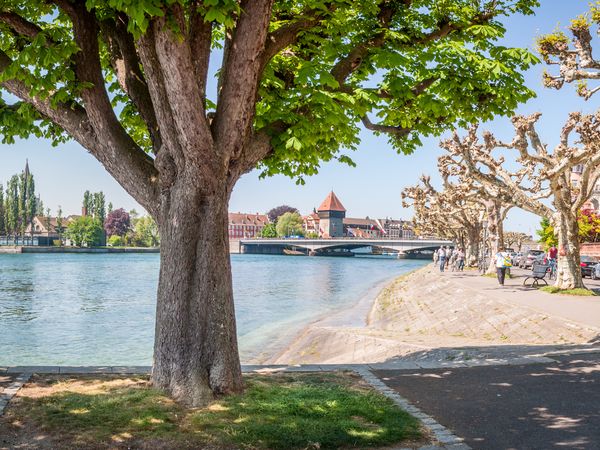Konstanz & Bodensee erleben - 3 Tage mit Frühstück - HARBR. hotel Konstanz Unkategorisiert online kaufen