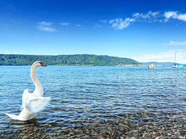 Urlaub am Bodensee - den gönn ich mir! - 5 Tage - Vienna House by Wyndham Martinspark Dornbirn Unkategorisiert online kaufen Urlaub am Bodensee - den gönn ich mir! - 5 Tage - Vienna House by Wyndham Martinspark Dornbirn Unkategorisiert online kaufen
